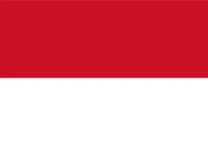 Indonesia Education System: Structure, Quality, and Performance